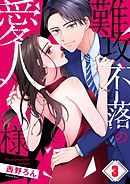難攻不落の愛人様3巻