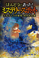 ほんとうにあった！ミステリースポット　(3)もう1つの首塚・呪われた家