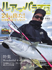 釣り】梅雨明けしてアブ入り前の源流を釣ってきた【釣行記】-新潟