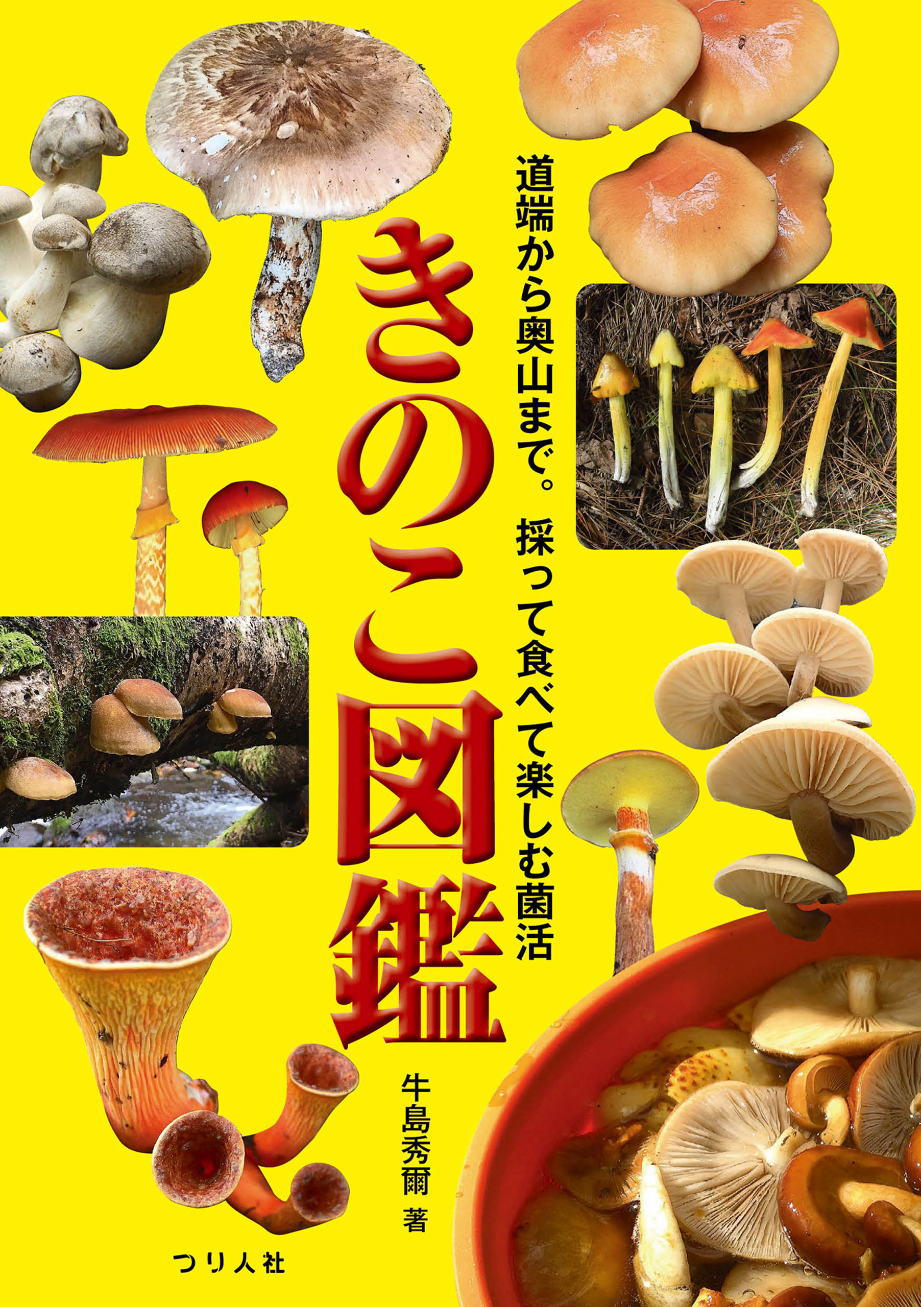 きのこ図鑑 道端から奥山まで。採って食べて楽しむ菌活 - 牛島秀爾