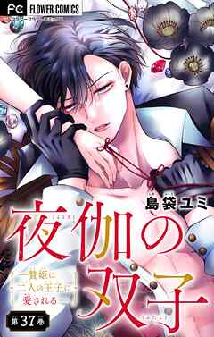 夜伽の双子―贄姫は二人の王子に愛される―【マイクロ】 37