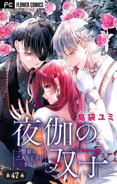 夜伽の双子―贄姫は二人の王子に愛される―【マイクロ】