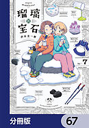 瑠璃の宝石【分冊版】　67