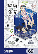 瑠璃の宝石【分冊版】　69
