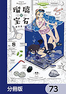 瑠璃の宝石【分冊版】　73