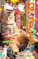 ねこぱんち No.186 猫猫祭号