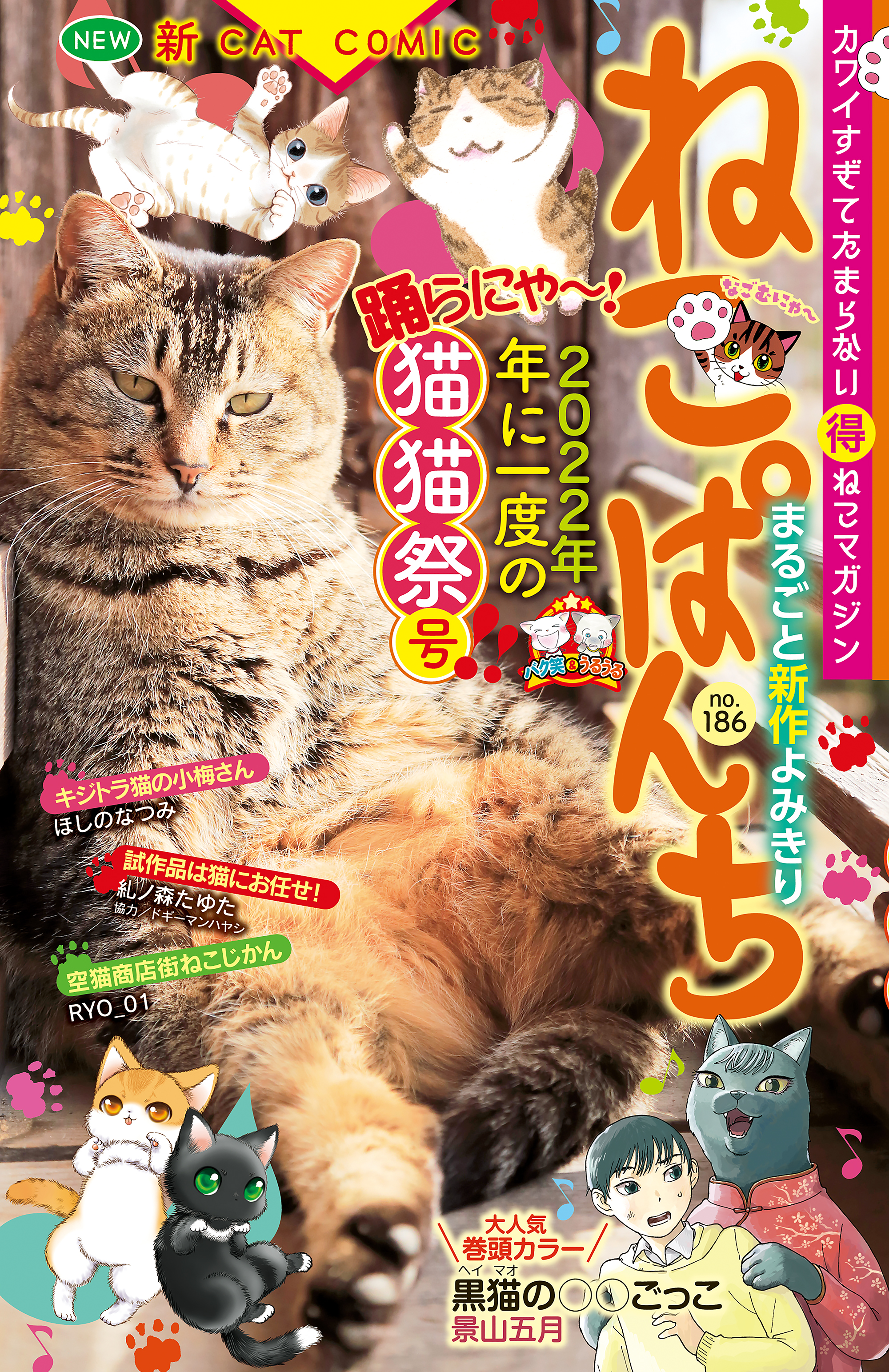 ねこぱんち No 186 猫猫祭号 景山五月 藤凪かおる 漫画 無料試し読みなら 電子書籍ストア ブックライブ