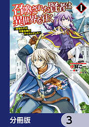 召喚された賢者は異世界を往く　～最強なのは不要在庫のアイテムでした～【分冊版】　3