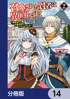 召喚された賢者は異世界を往く　～最強なのは不要在庫のアイテムでした～【分冊版】