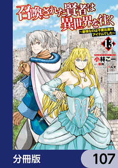 召喚された賢者は異世界を往く　～最強なのは不要在庫のアイテムでした～【分冊版】　107