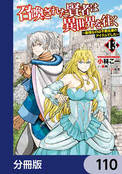 召喚された賢者は異世界を往く　～最強なのは不要在庫のアイテムでした～【分冊版】　110