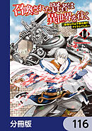 召喚された賢者は異世界を往く　～最強なのは不要在庫のアイテムでした～【分冊版】　116