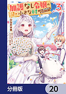 加護なし令嬢の小さな村 ～さあ、領地運営を始めましょう！～【分冊版】　20