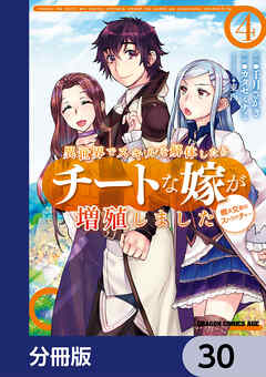 異世界でスキルを解体したらチートな嫁が増殖しました 概念交差のストラクチャー【分冊版】　30