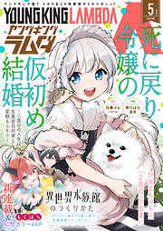 ヤングキングラムダ