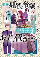 転生悪役令嬢は見せかけドS王子をお仕置きしたい 3