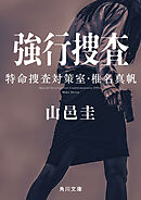 強行捜査　特命捜査対策室・椎名真帆