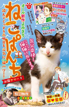 ねこぱんち No 191 お猫サマー号 へげかもこ 乙川灯 漫画 無料試し読みなら 電子書籍ストア ブックライブ