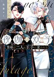 夜伽の双子―贄姫は二人の王子に愛される― 11