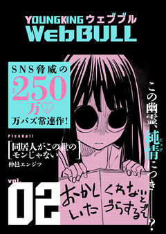 Web BULL2号