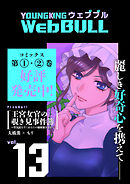 Web BULL13号