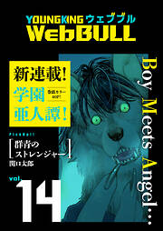 Web BULL14号