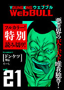 Web BULL21号