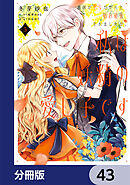 義妹が聖女だからと婚約破棄されましたが、私は妖精の愛し子です【分冊版】　43