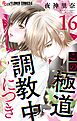 この極道調教中につき【マイクロ】 16