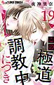 この極道調教中につき【マイクロ】 19