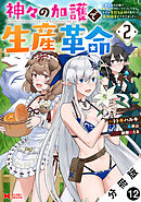 神々の加護で生産革命～異世界の片隅でまったりスローライフしてたら、なぜか多彩な人材が集まって最強国家ができてました～（コミック） 分冊版 ： 12