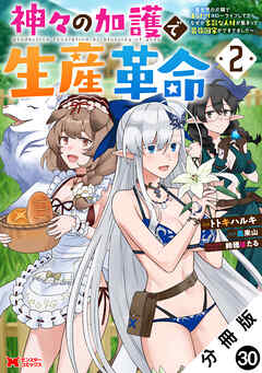 神々の加護で生産革命～異世界の片隅でまったりスローライフしてたら、なぜか多彩な人材が集まって最強国家ができてました～（コミック） 分冊版 ： 30