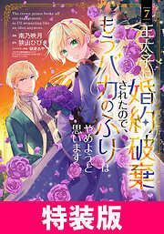 王太子に婚約破棄されたので、もうバカのふりはやめようと思います　特装版