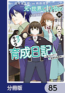 元・世界１位のサブキャラ育成日記　～廃プレイヤー、異世界を攻略中！～【分冊版】　85