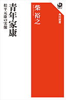 青年家康　松平元康の実像