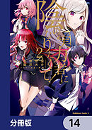 陰の実力者になりたくて！【分冊版】　14