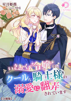 いきおくれ令嬢は、クールな騎士様の溺愛に翻弄されています【分冊版】3