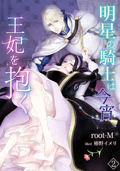 明星の騎士は今宵王妃を抱く（２）