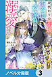 身代わりの花嫁は、不器用な辺境伯に溺愛される【ノベル分冊版】　3