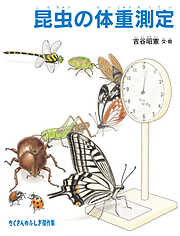 昆虫の体重測定