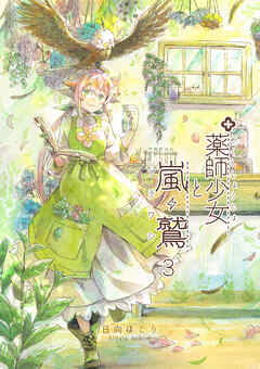 薬師少女と嵐鷲　3