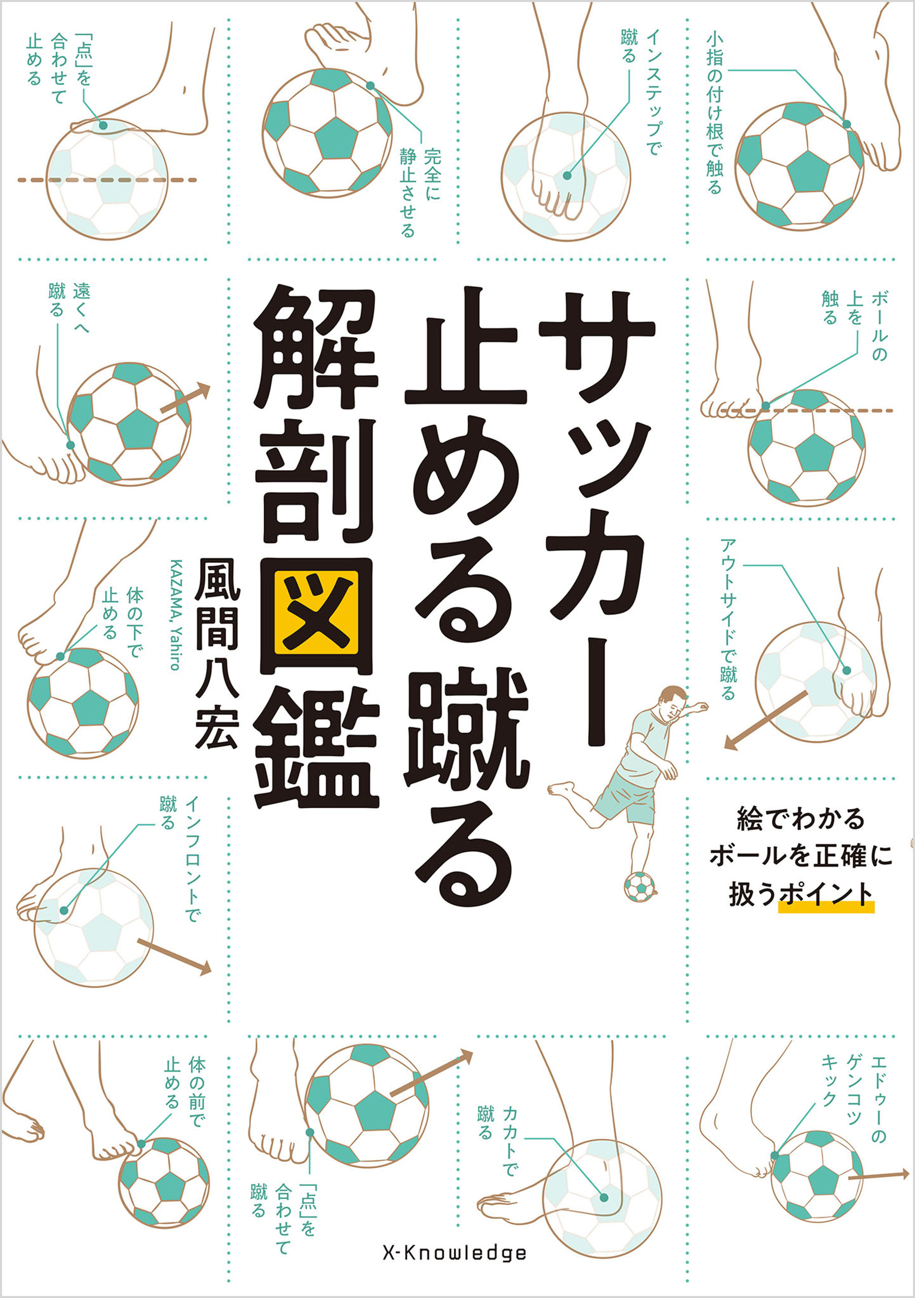 サッカー止める蹴る解剖図鑑 | ブックライブ