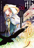 亜空の聖女 ～妹に濡れ衣を着せられた最強魔術師は、正体を隠してやり直す～