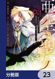 亜空の聖女 ～妹に濡れ衣を着せられた最強魔術師は、正体を隠してやり直す～【分冊版】