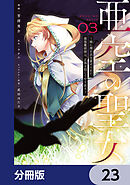 亜空の聖女 ～妹に濡れ衣を着せられた最強魔術師は、正体を隠してやり直す～【分冊版】　23