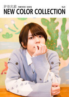 汐谷文康 NEW COLOR COLLECTION No.9
