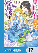 異世界から聖女が来るようなので、邪魔者は消えようと思います【ノベル分冊版】　17