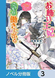 お飾り王妃になったので、こっそり働きに出ることにしました【ノベル分冊版】　3
