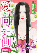愛の向こう側　スキャンダルな愛の不毛　分冊版2