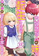 大好きな人の妹に転生したので今度こそうまくやろうと思います 17